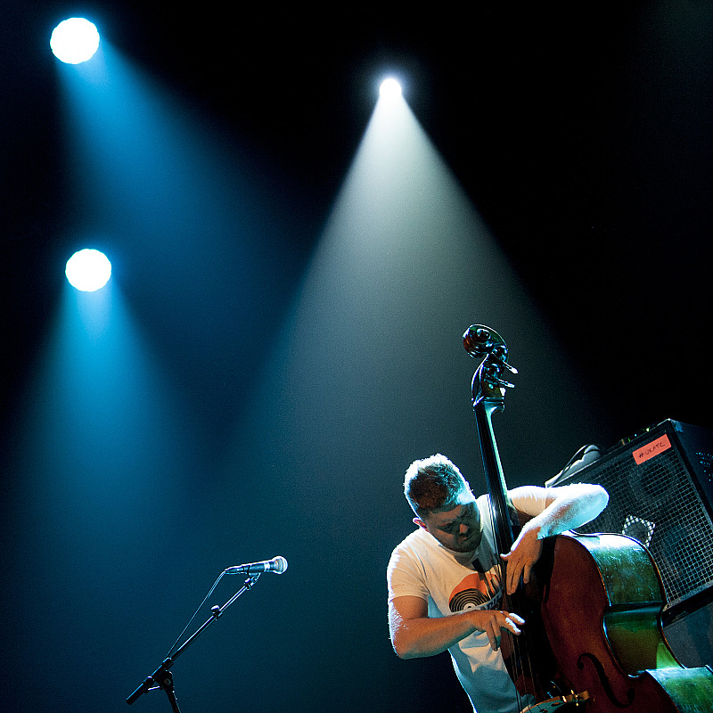 GoGo Penguin