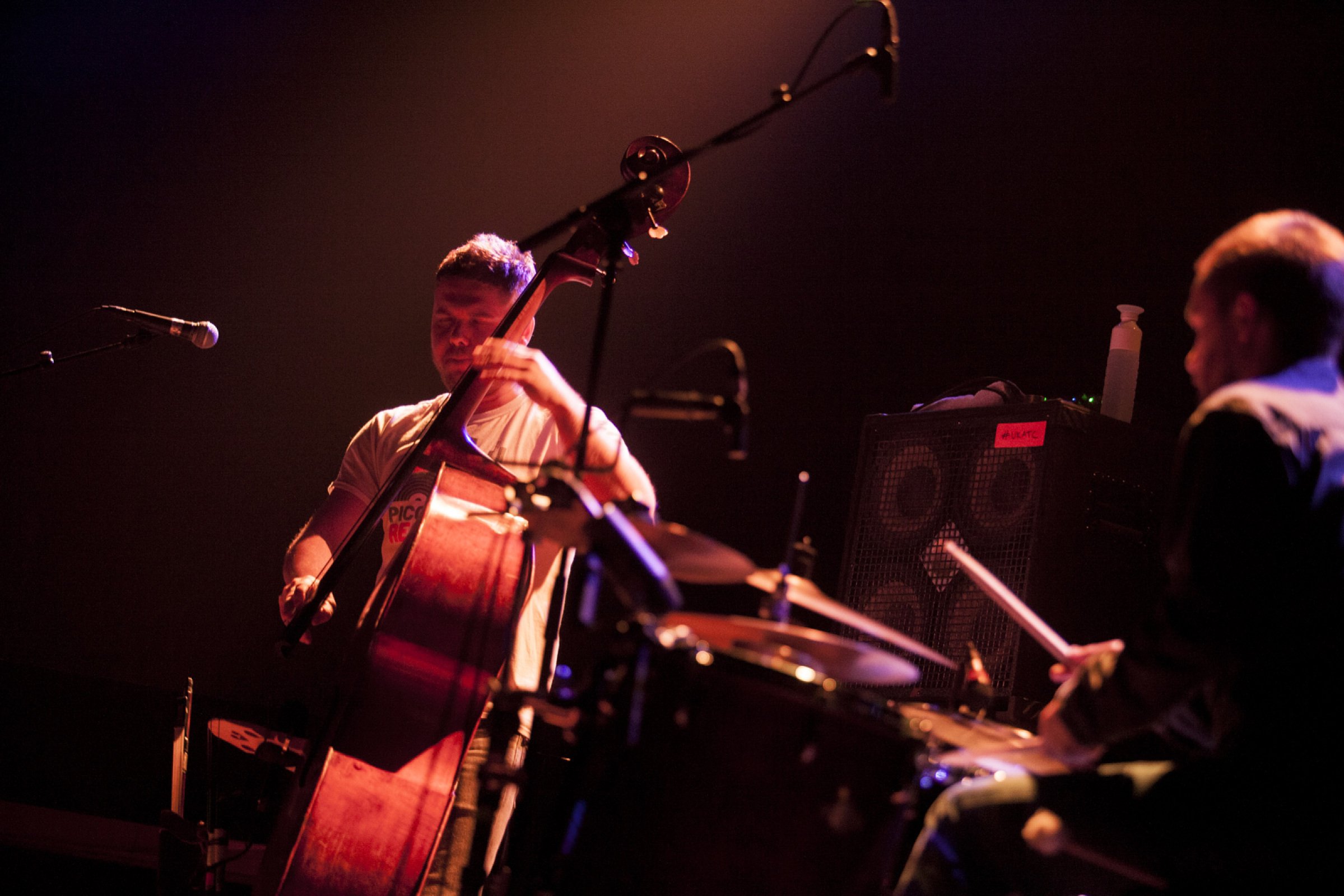 GoGo Penguin · foto 1