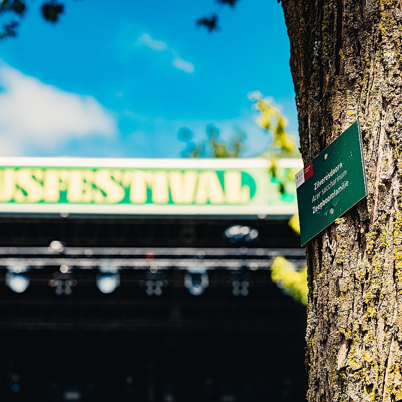Big Special at Cactusfestival 2025