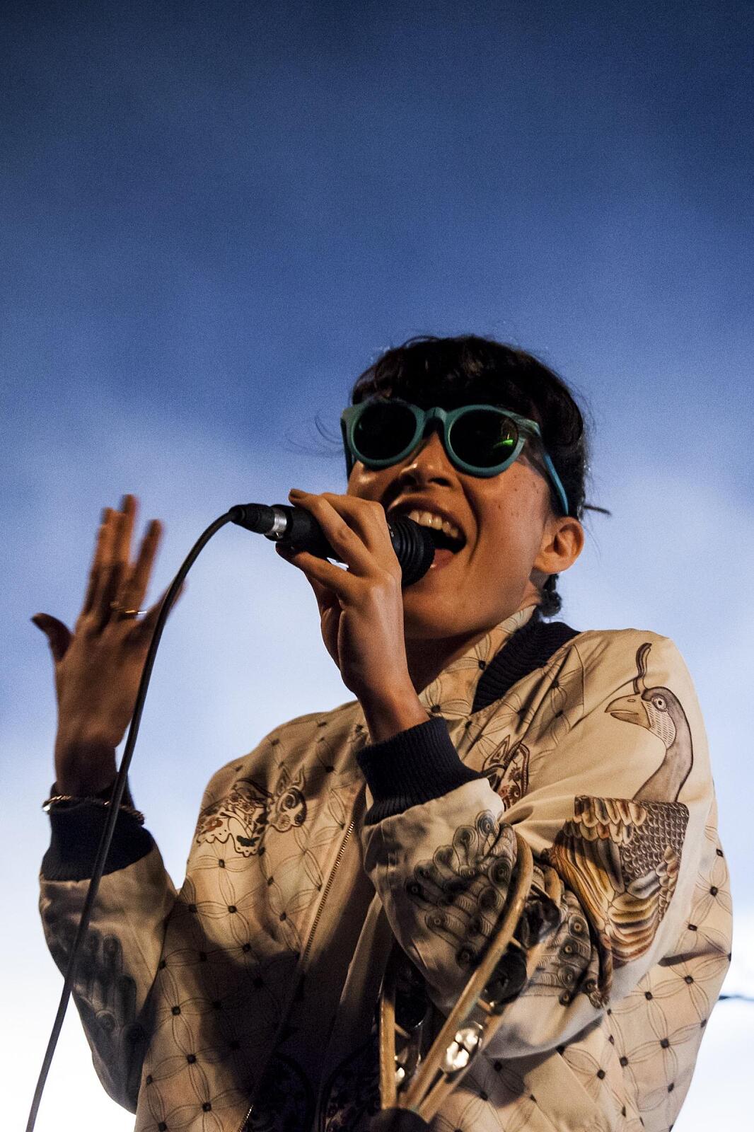 Little Dragon · photo 1