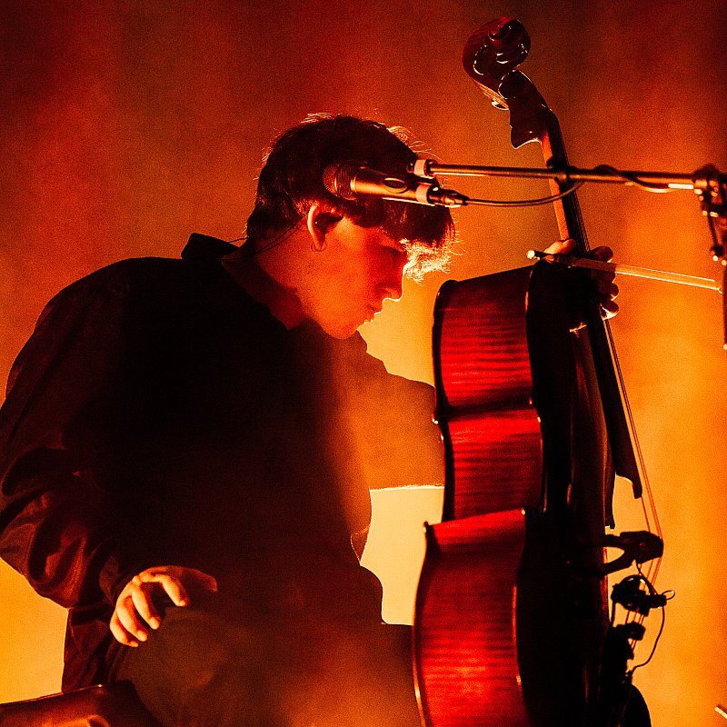 Tamino at Cactusfestival 2023
