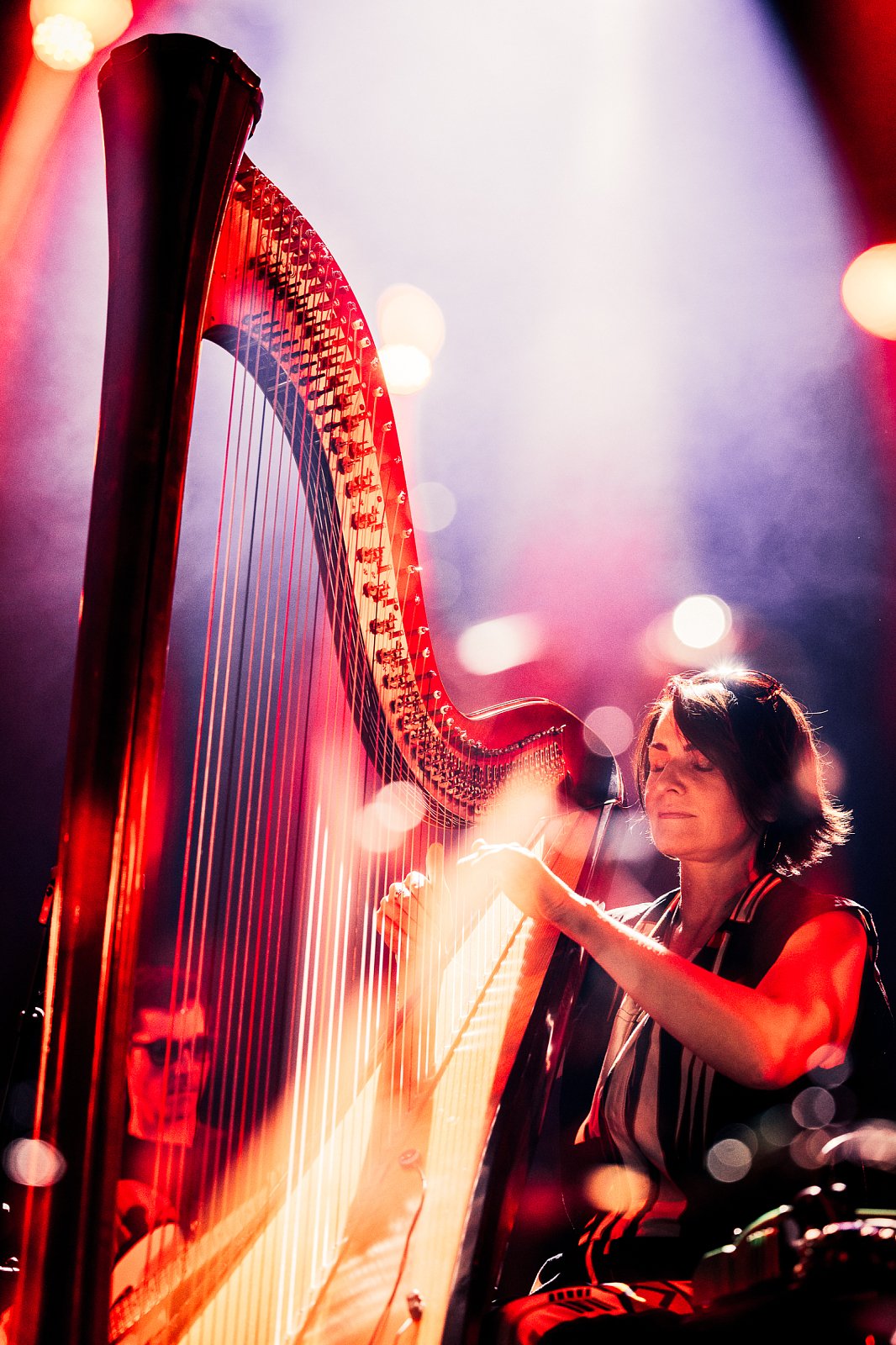Alina Bzhezhinska & HipHarpCollective · photo 1