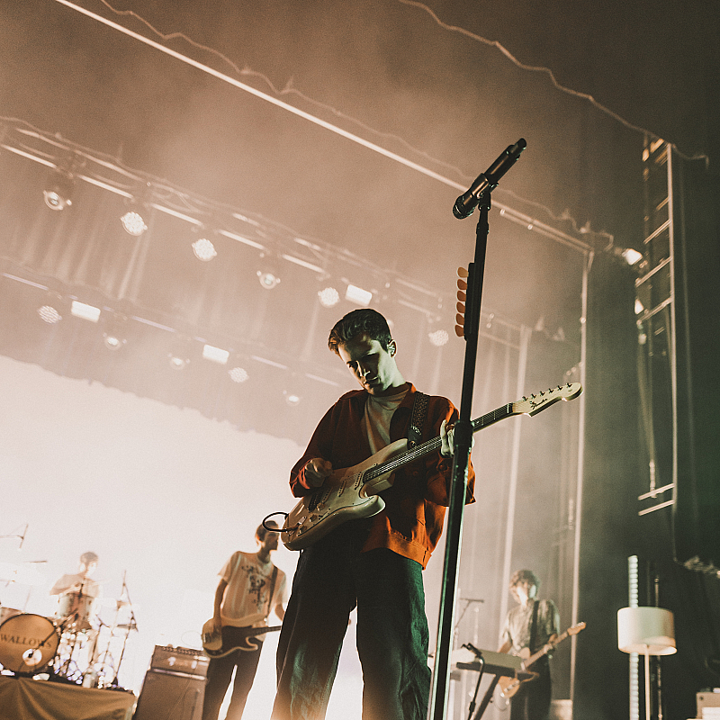 wallows
