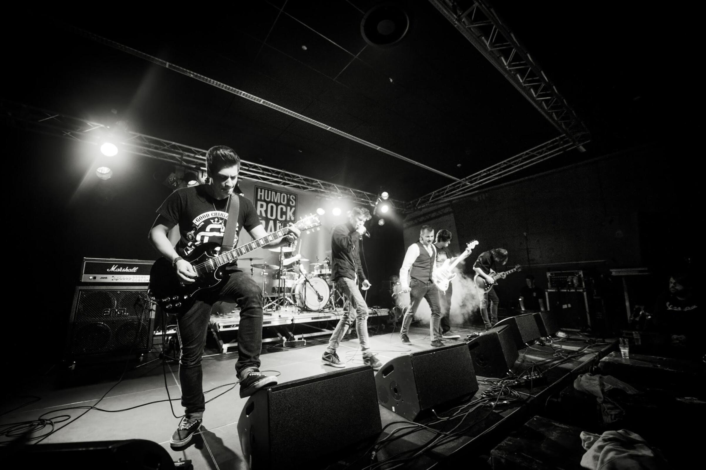Viva Revival · foto 1