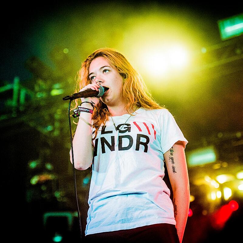 Marmozets