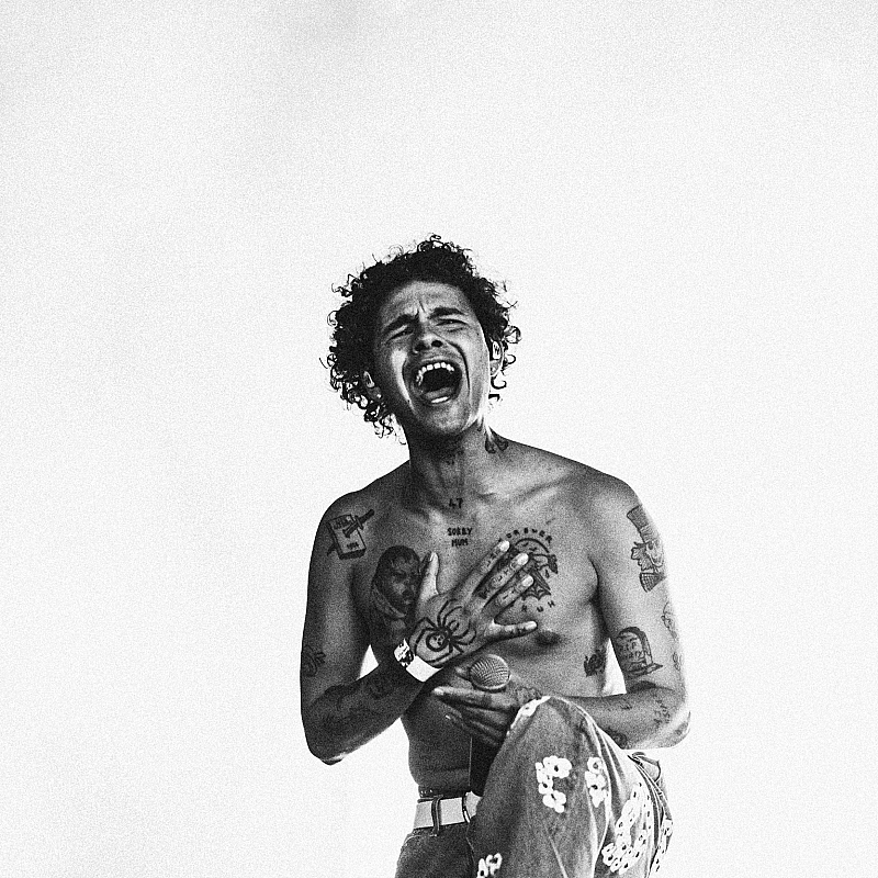 Slowthai