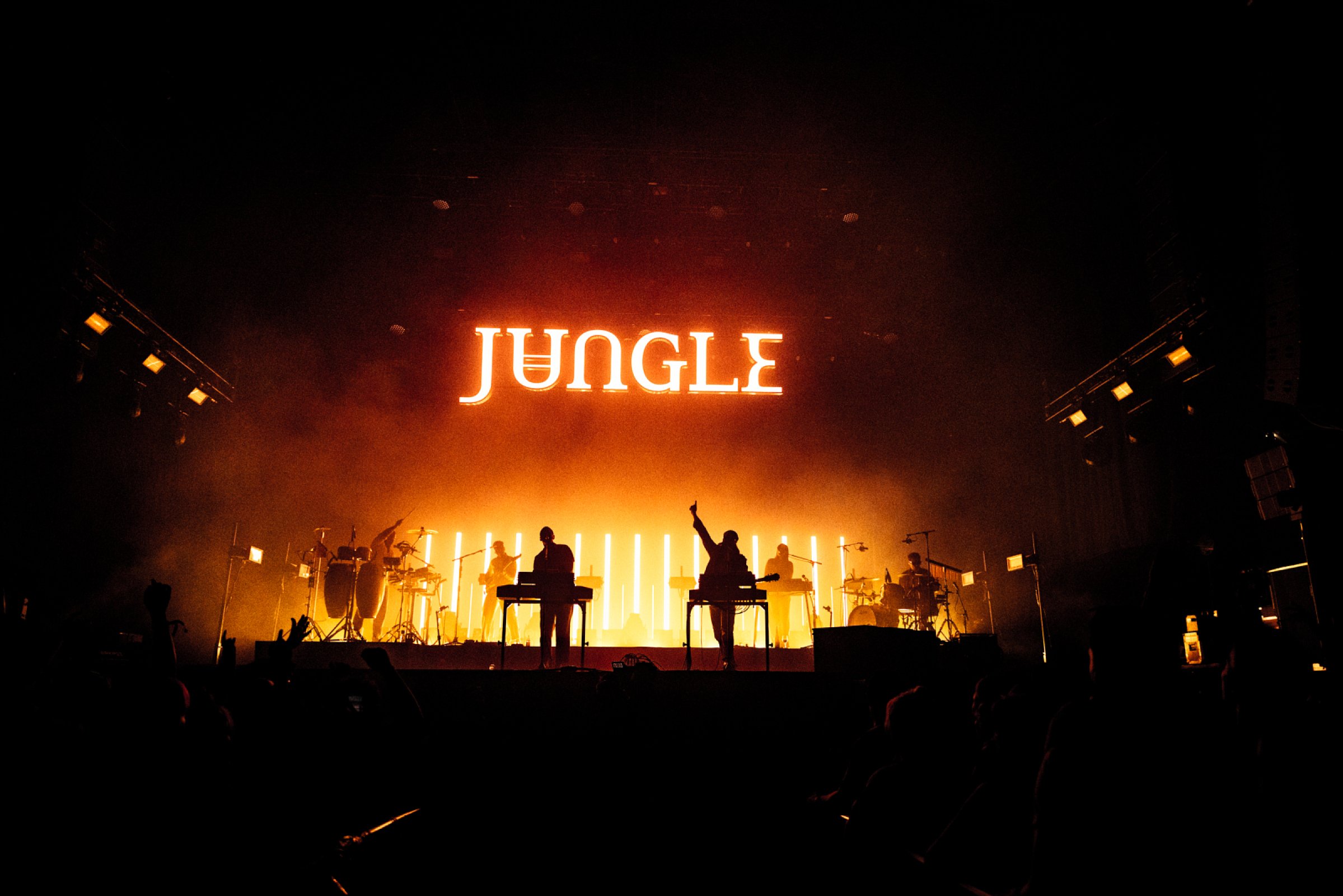 Jungle · foto 1