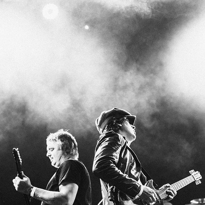 The Libertines at Cactusfestival 2023