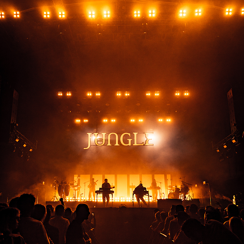 Jungle