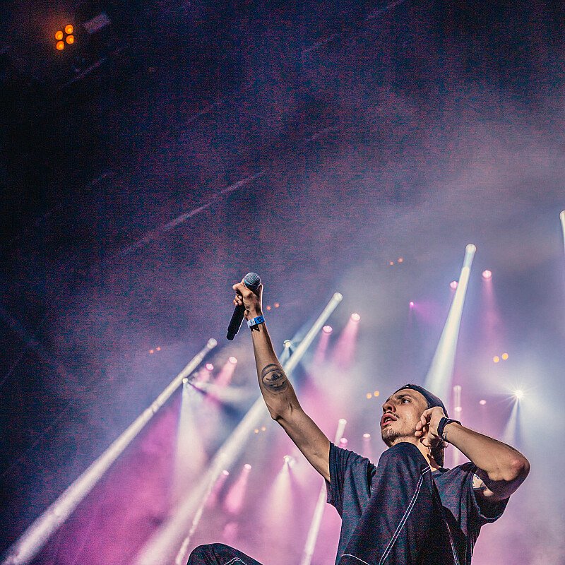 Romeo Elvis at Dour 2019