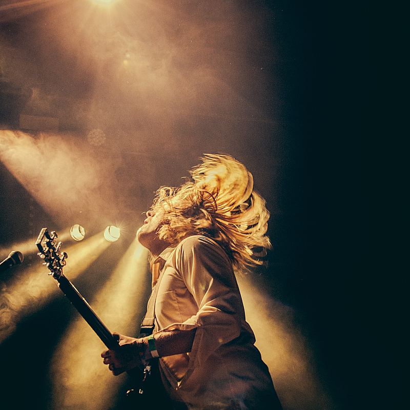 Ty Segall and The Freedom Band
