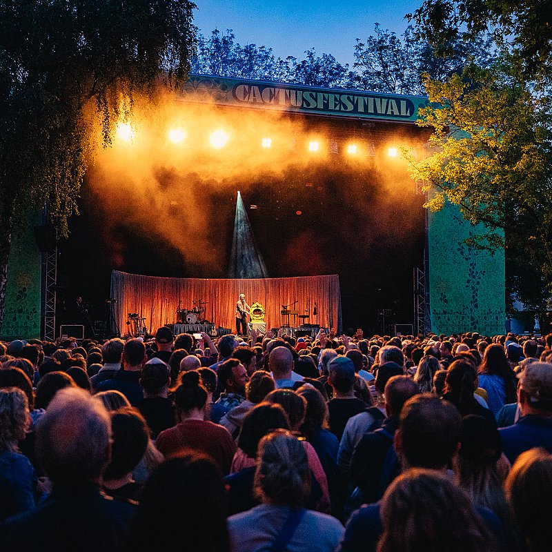 Warhaus at Cactusfestival 2024