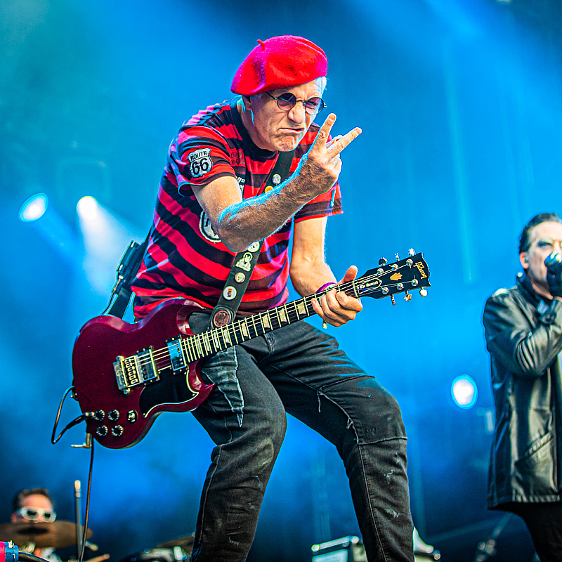 The Damned