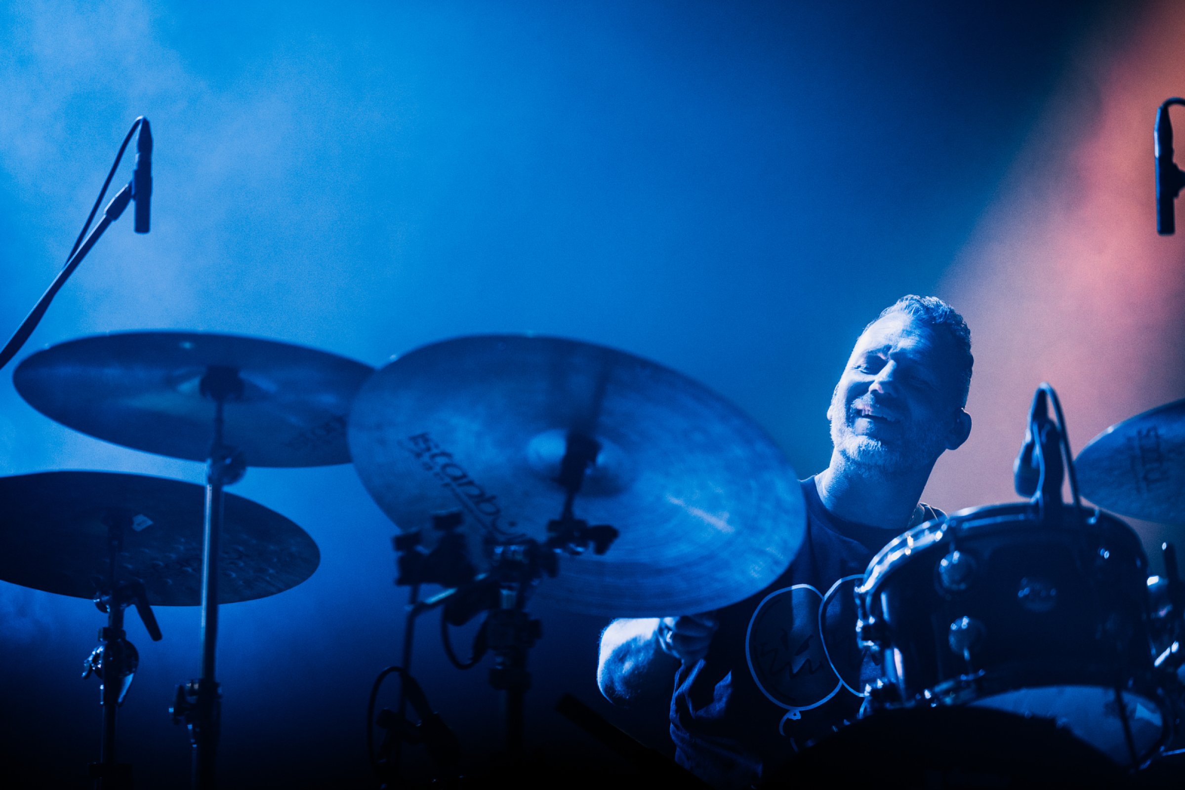 Bonobo · photo 1