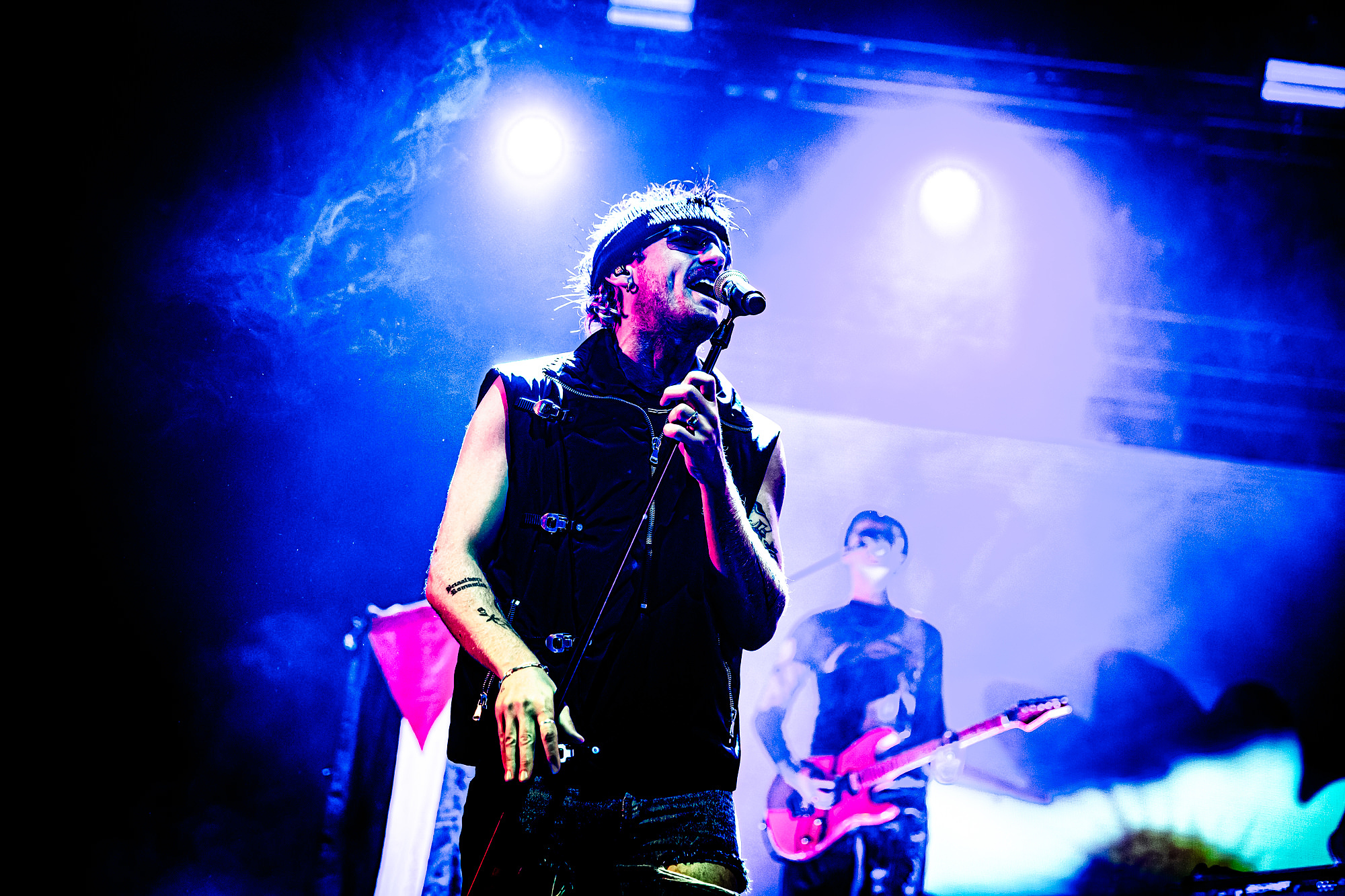 Goldband · foto 1