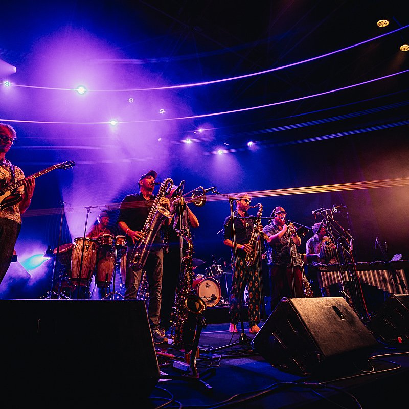 Alpacas Collective at Gent Jazz 2024