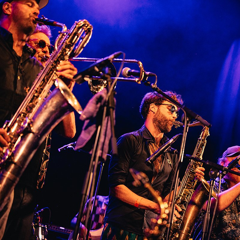 Alpacas Collective at Gent Jazz 2024
