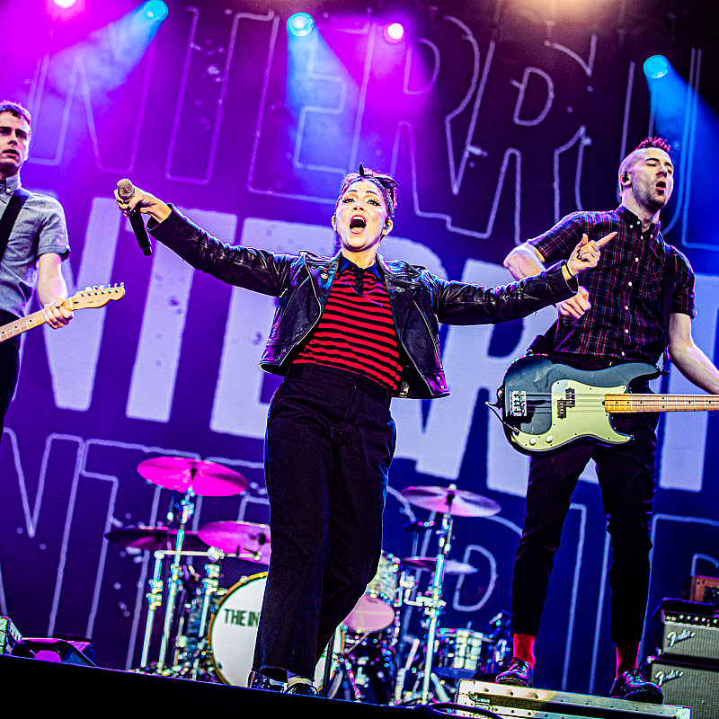 The Interrupters