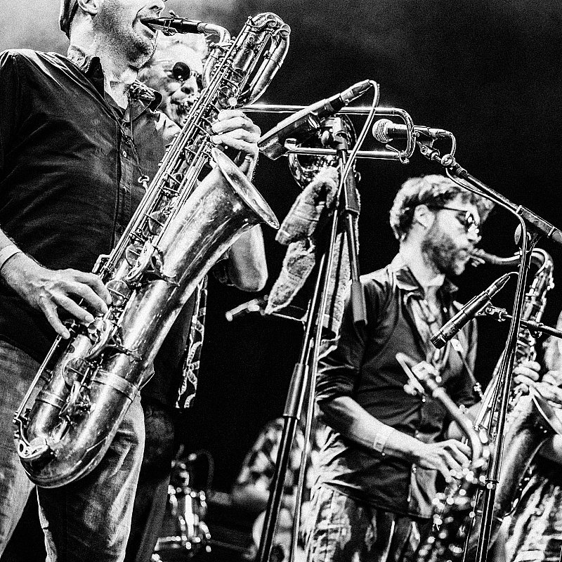 Alpacas Collective at Gent Jazz 2024