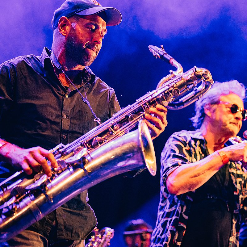 Alpacas Collective at Gent Jazz 2024