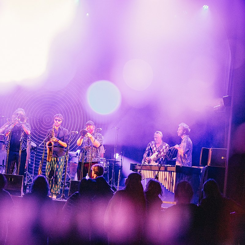 Alpacas Collective at Gent Jazz 2024