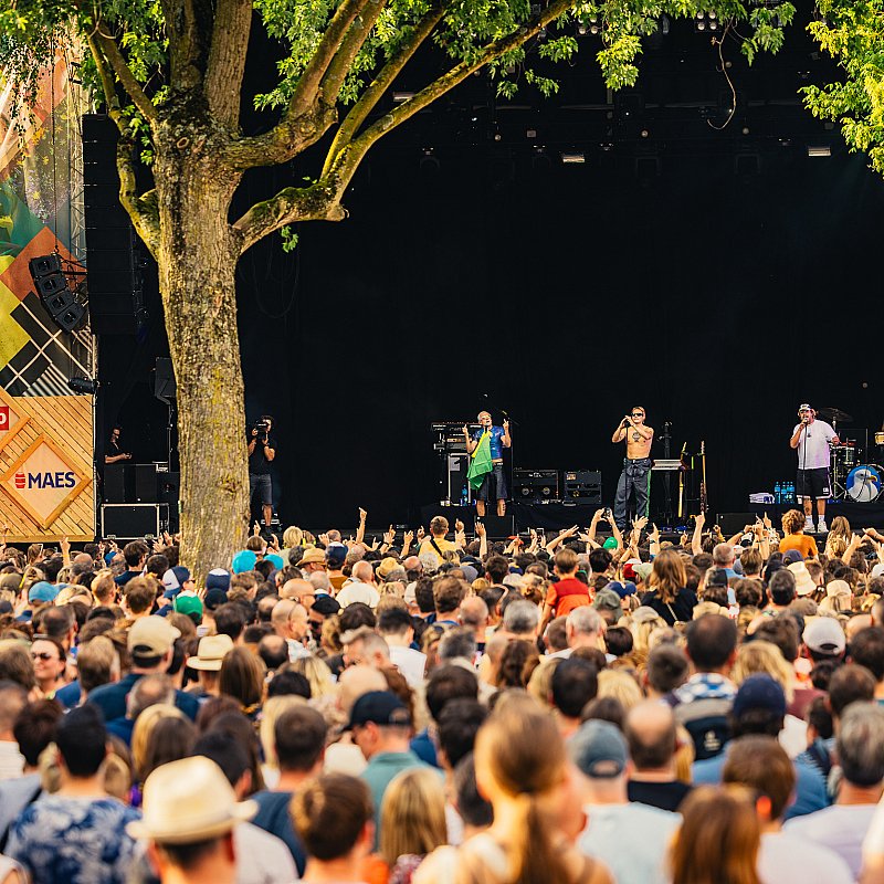 Goldband at Cactusfestival 2023
