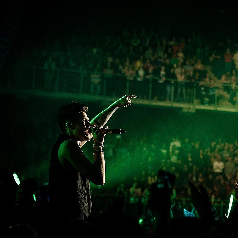 The Script