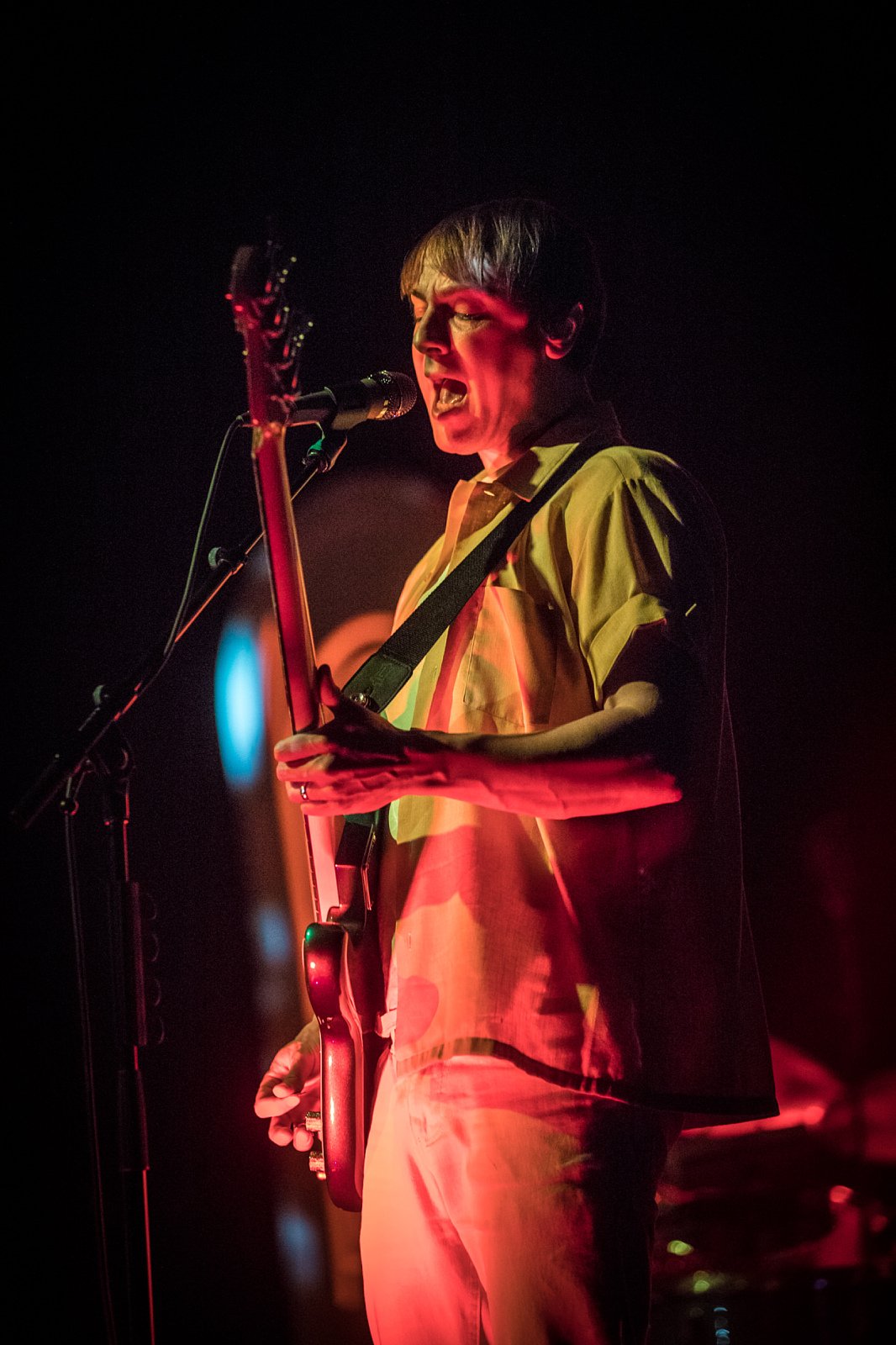 Django Django · foto 1