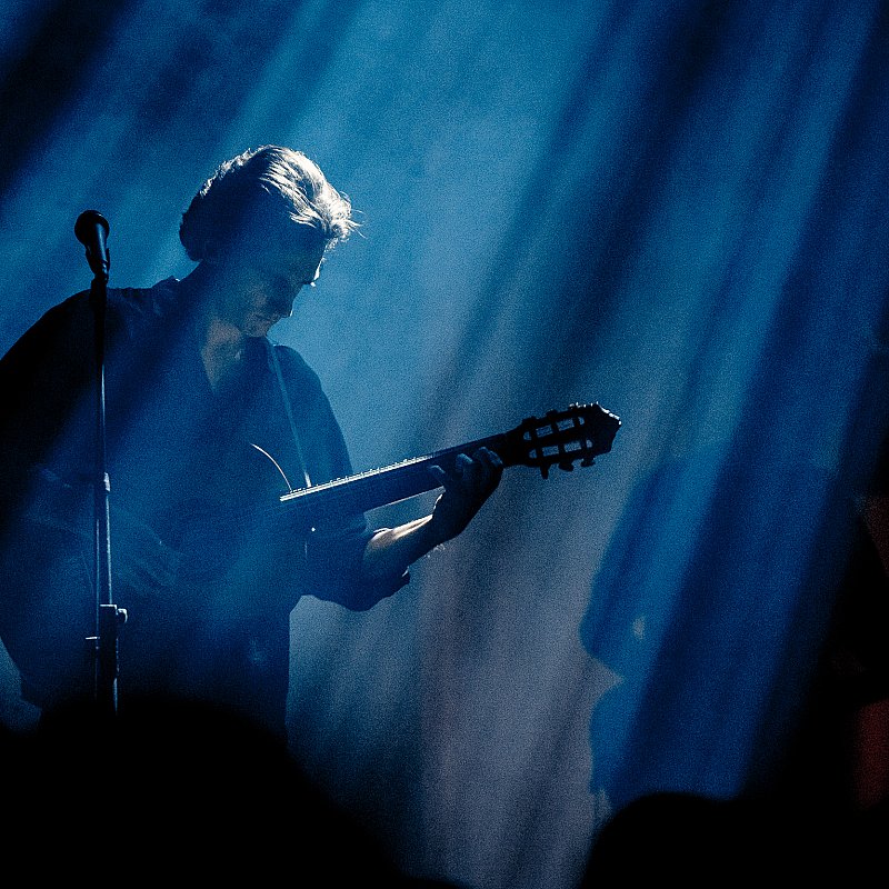 Tamino at Koninklijk Circus