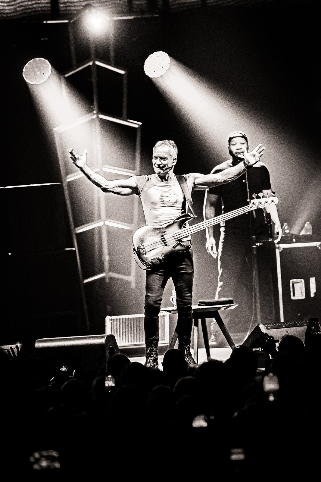 Sting · photo 1