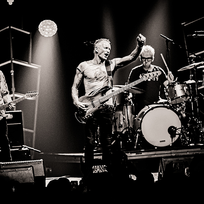 Sting