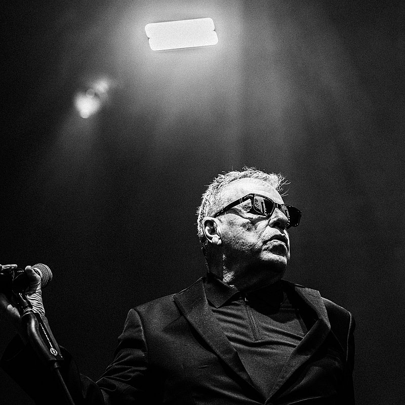 Madness at Cactusfestival 2026