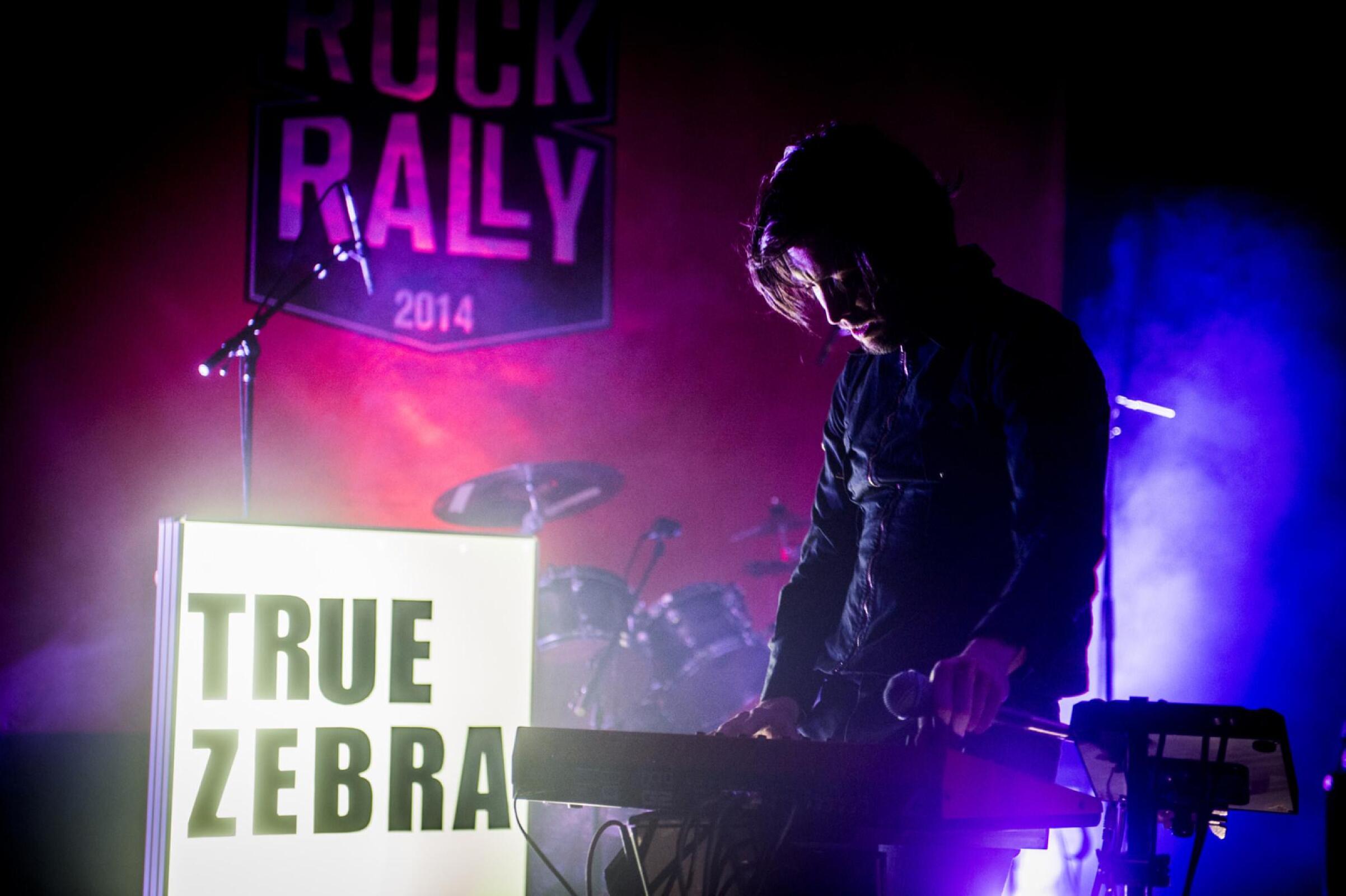 True Zebra · photo 1