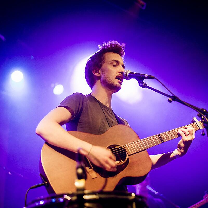 Flightless Bird