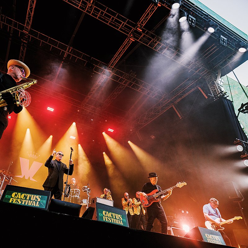Madness at Cactusfestival 2026