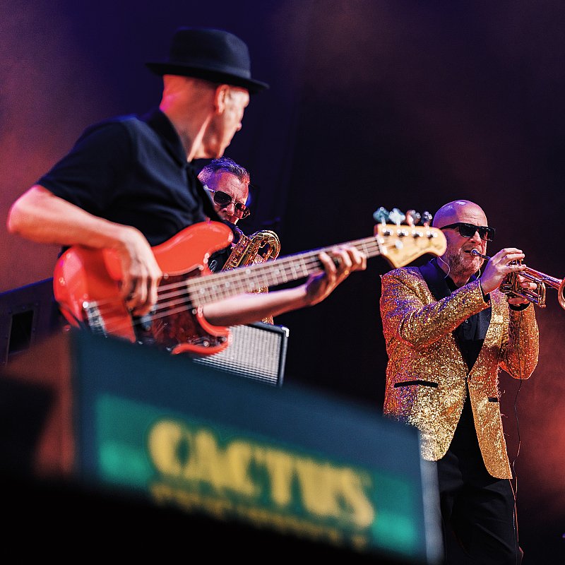 Madness at Cactusfestival 2026