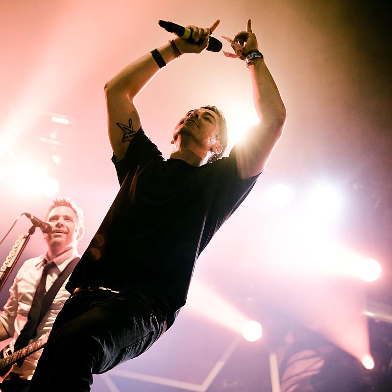Zebrahead