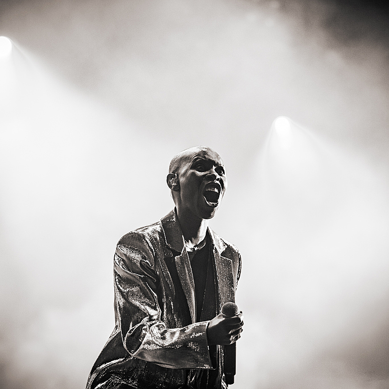 Skunk Anansie