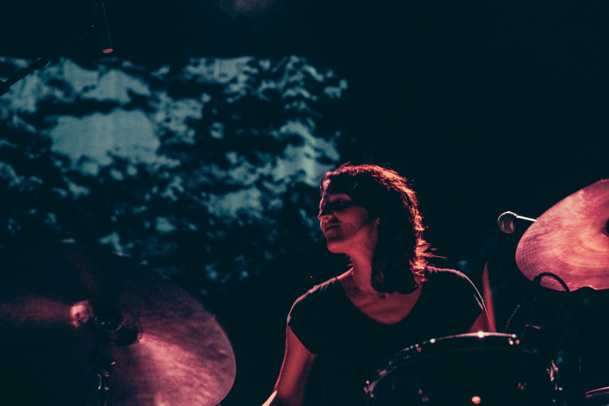 Inwolves · photo 1