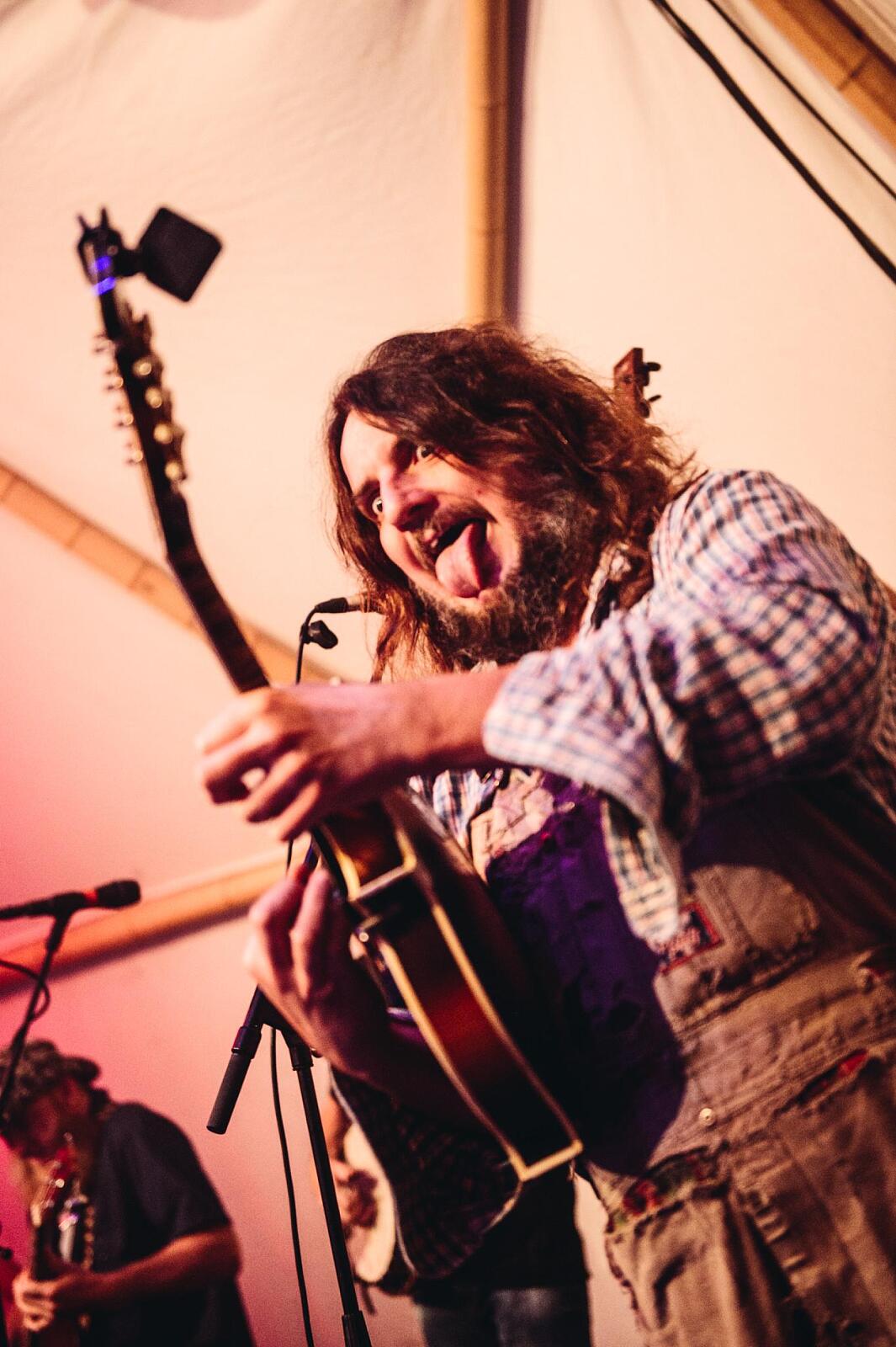 Hayseed Dixie · photo 1