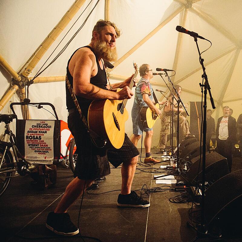 Hayseed Dixie