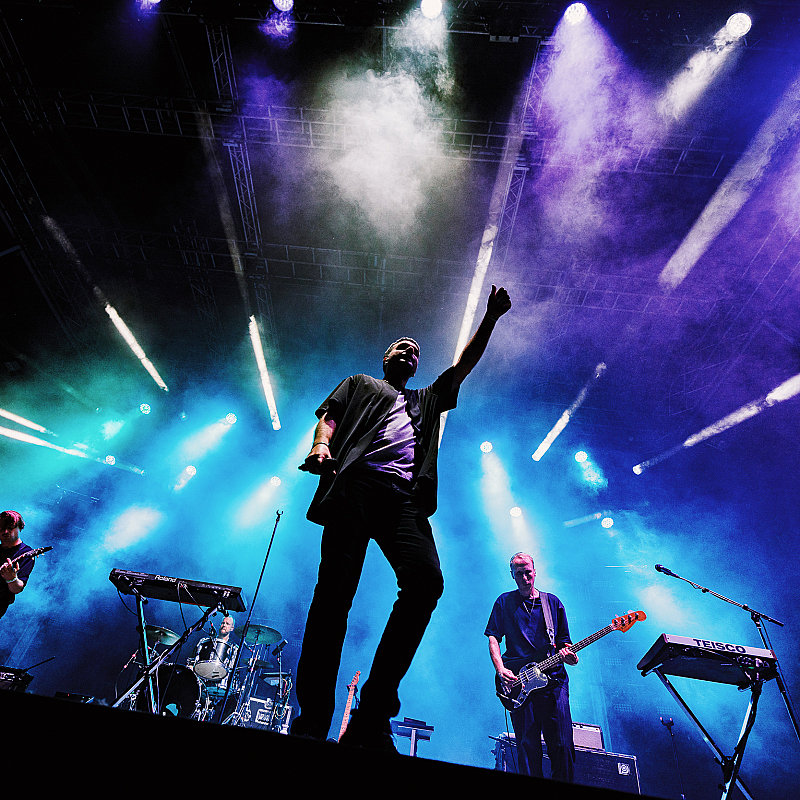 Goose
