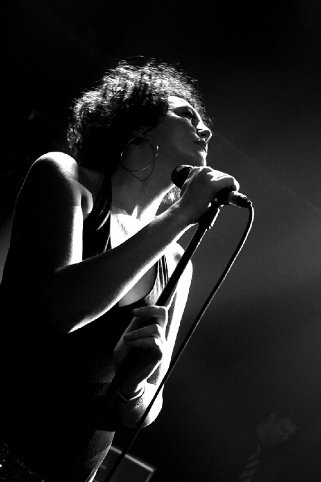 Bonobo · photo 1