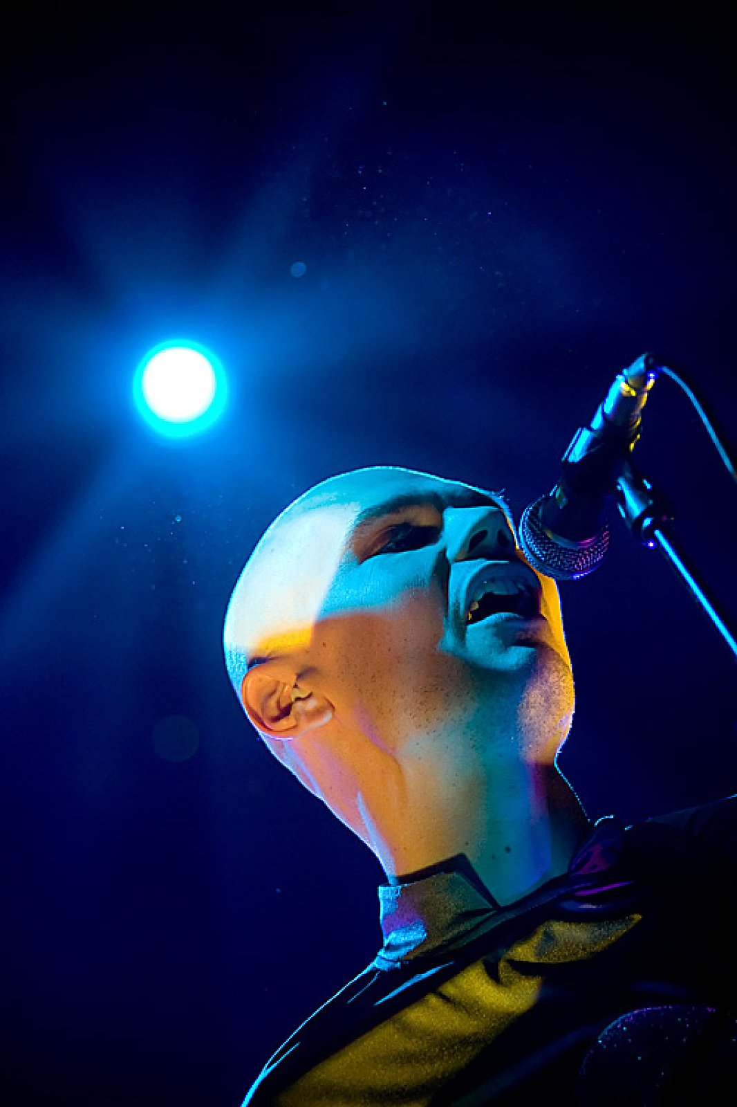 The Smashing Pumpkins · foto 1