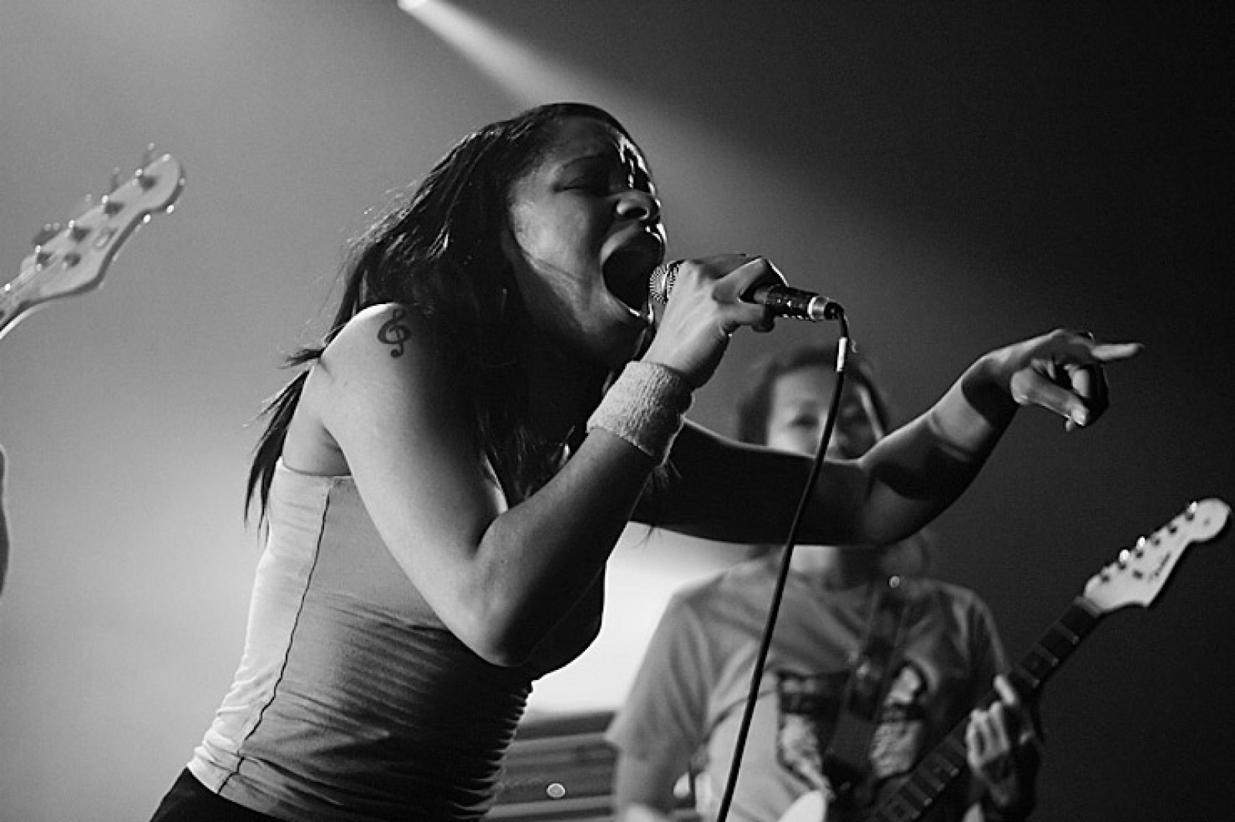 The Go! Team · foto 1