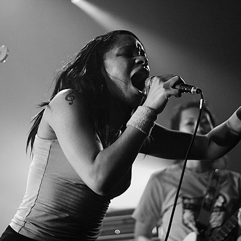 The Go! Team