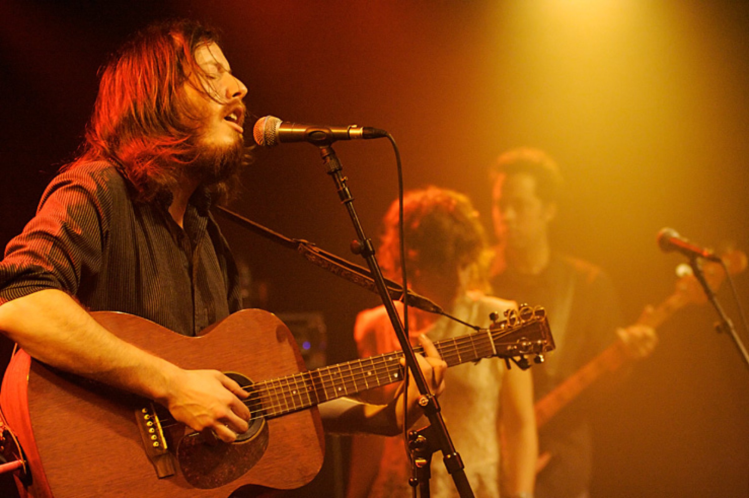 Vetiver · photo 1