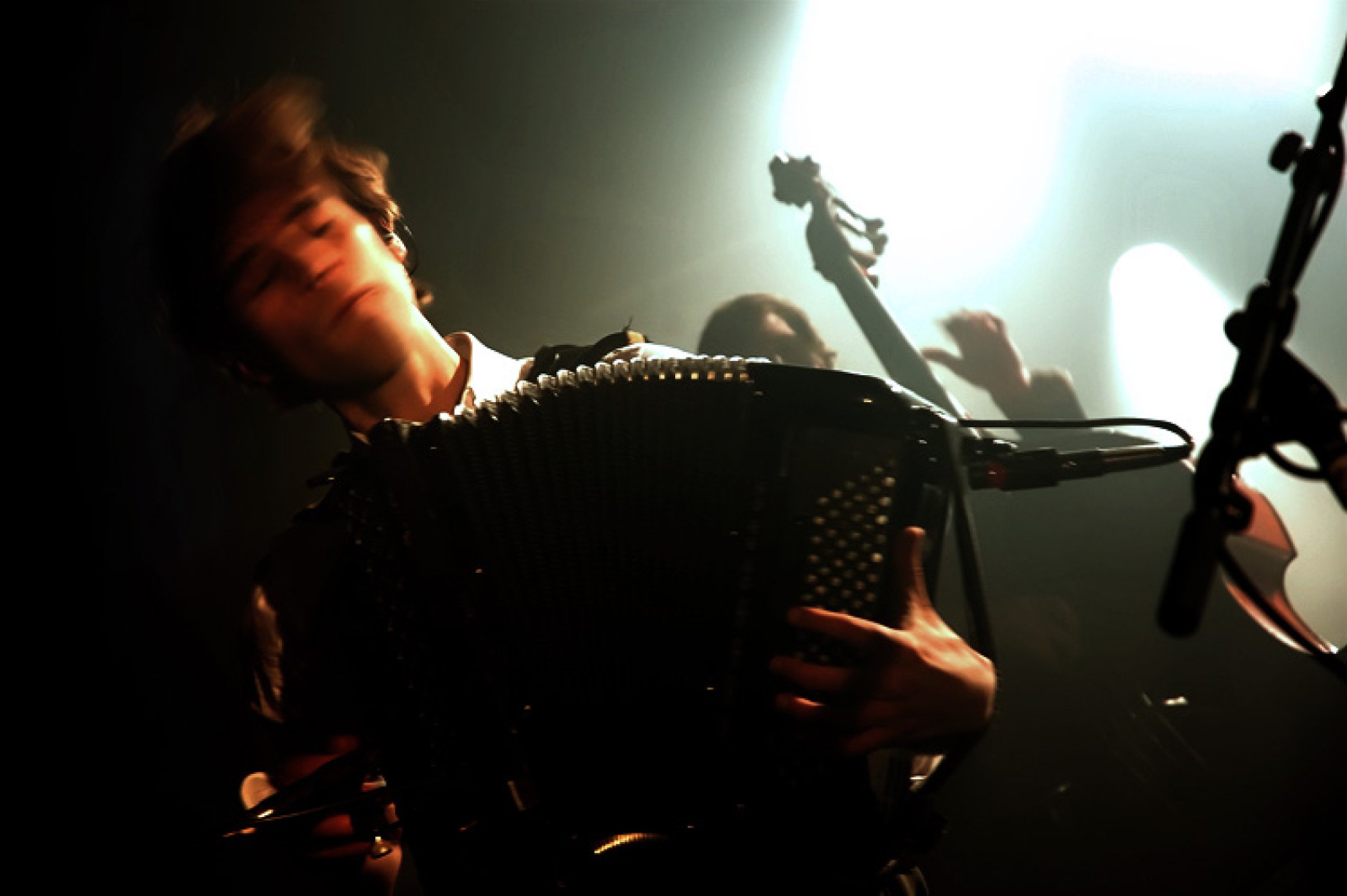 DAAU · photo 1