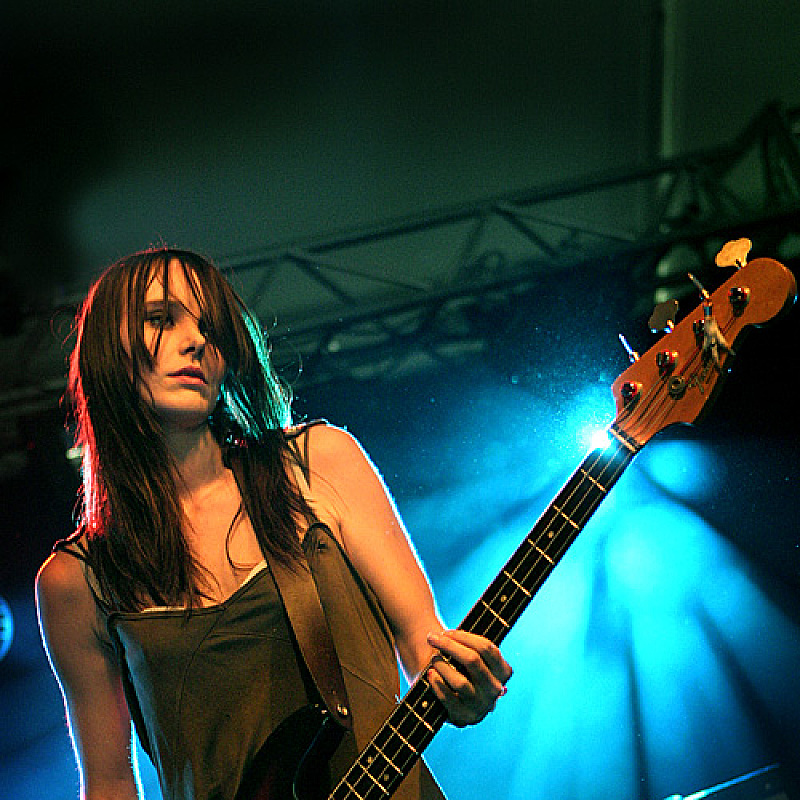 The Veils