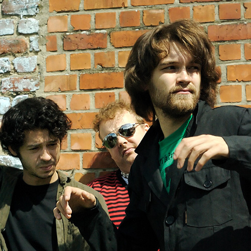 Guillemots